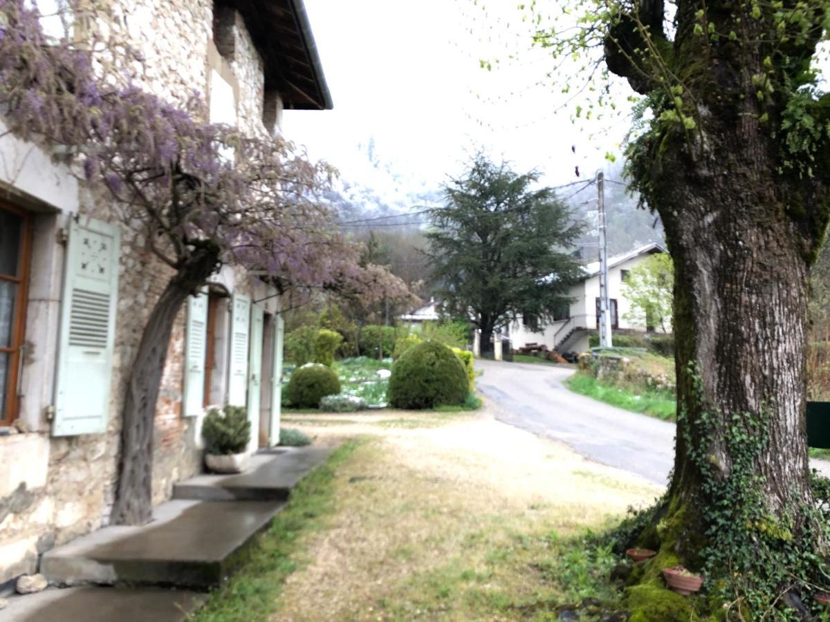 Au Pied Du Vercors Tout Est Permis La Riviere  المظهر الخارجي الصورة